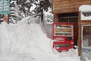 Hotel Hakuba Cortina Backpackers Otari Zewnętrze zdjęcie